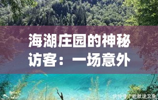 海湖莊園的神秘訪客:一場(chǎng)意外的邂逅