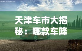 天津車市大揭秘：哪款車降價最猛？