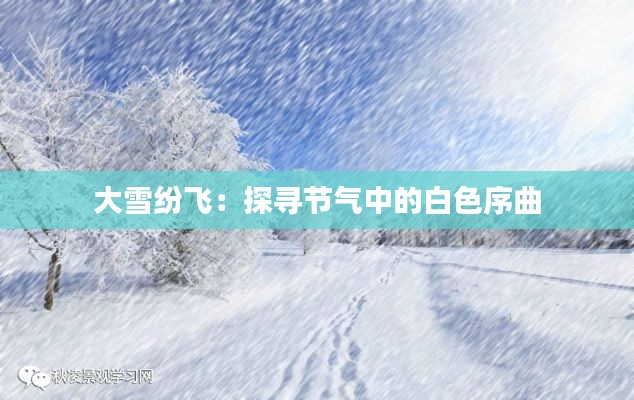 大雪紛飛:探尋節(jié)氣中的白色序曲