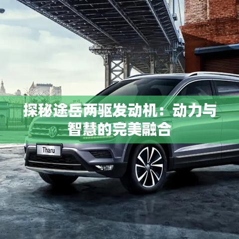 探秘途岳兩驅(qū)發(fā)動機(jī)：動力與智慧的完美融合