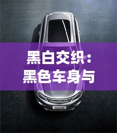 黑白交織:黑色車身與白色線條的靈動美學(xué)