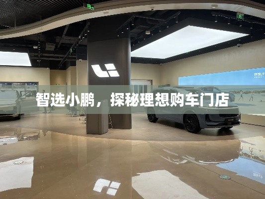 智選小鵬，探秘理想購車門店