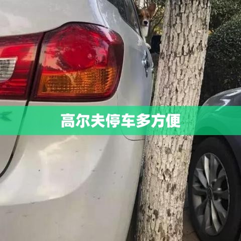 高爾夫停車多方便