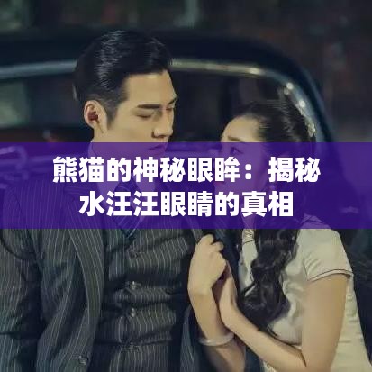 熊貓的神秘眼眸：揭秘水汪汪眼睛的真相