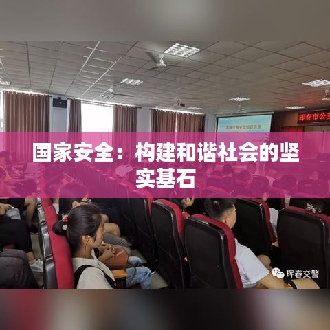 國家安全:構(gòu)建和諧社會的堅實基石