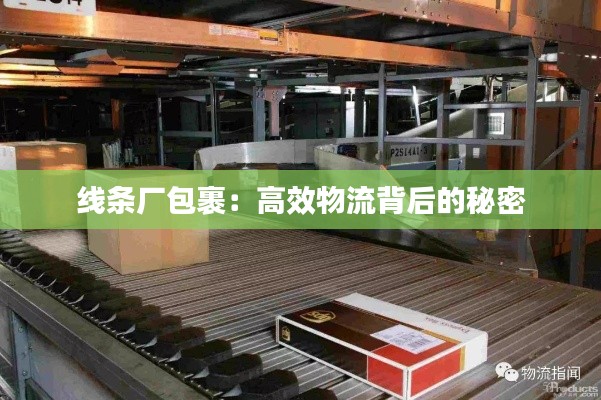 線條廠包裹：高效物流背后的秘密