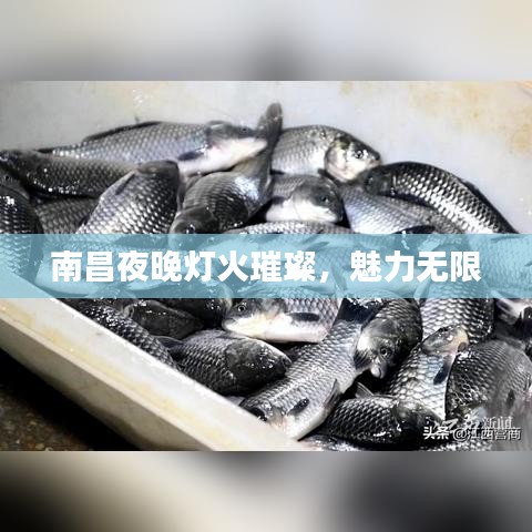 南昌夜晚燈火璀璨，魅力無限
