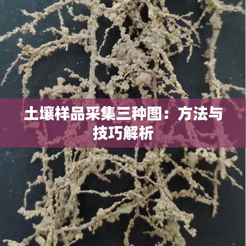 土壤樣品采集三種圖:方法與技巧解析