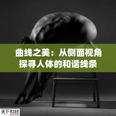 曲線(xiàn)之美：從側(cè)面視角探尋人體的和諧線(xiàn)條