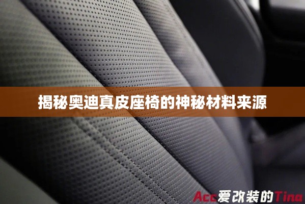 揭秘奧迪真皮座椅的神秘材料來源