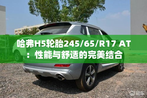 哈弗H5輪胎245/65/R17 AT：性能與舒適的完美結(jié)合