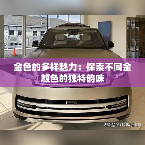 金色的多樣魅力：探索不同金顏色的獨(dú)特韻味