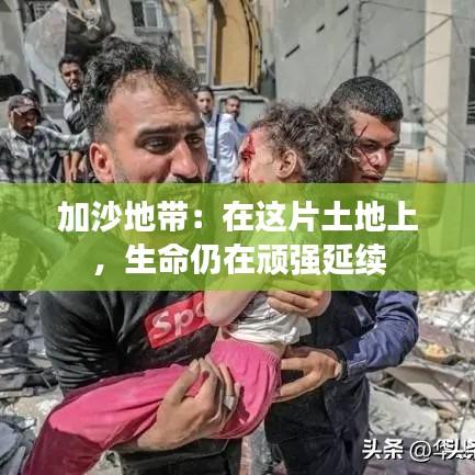 加沙地帶：在這片土地上，生命仍在頑強(qiáng)延續(xù)
