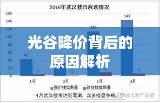 光谷降價背后的原因解析