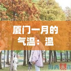 廈門一月的氣溫:溫暖宜人的冬季氣候