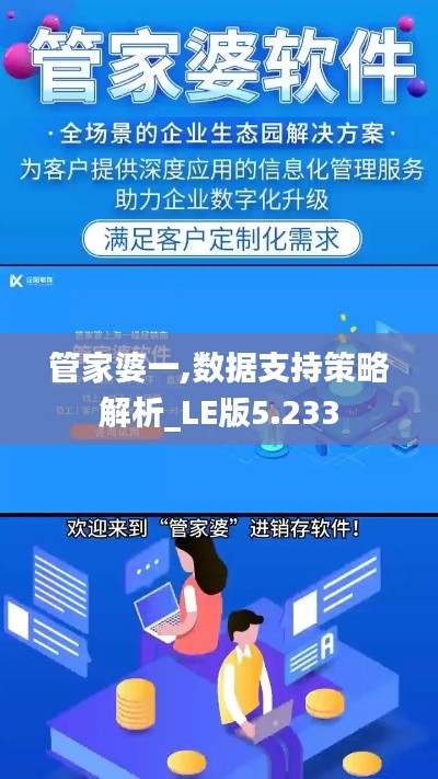 管家婆一,數(shù)據(jù)支持策略解析_LE版5.233