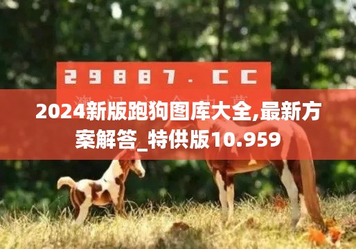 2024新版跑狗圖庫大全,最新方案解答_特供版10.959