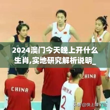 2024澳門今天晚上開什么生肖,實(shí)地研究解析說明_C版8.823