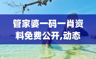 管家婆一碼一肖資料免費公開,動態(tài)詞語解釋定義_HDR版10.580