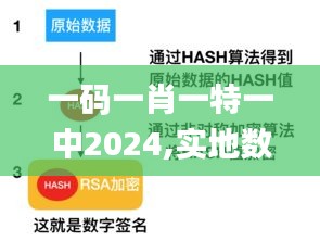 一碼一肖一特一中2024,實(shí)地?cái)?shù)據(jù)驗(yàn)證分析_尊享款1.540
