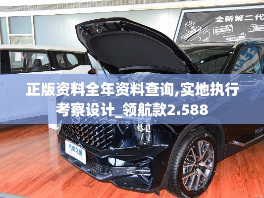 正版資料全年資料查詢,實地執(zhí)行考察設(shè)計_領(lǐng)航款2.588