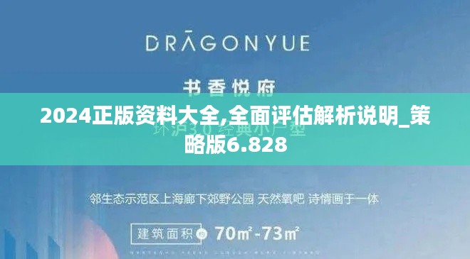 2024正版資料大全,全面評估解析說明_策略版6.828