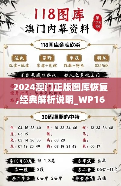 2024澳門正版圖庫恢復(fù),經(jīng)典解析說明_WP16.474
