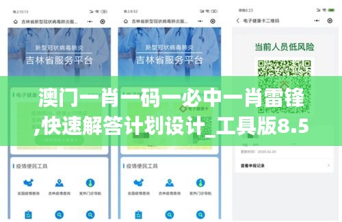 澳門(mén)一肖一碼一必中一肖雷鋒,快速解答計(jì)劃設(shè)計(jì)_工具版8.563