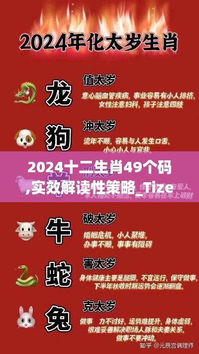 2024十二生肖49個碼,實效解讀性策略_Tizen3.671