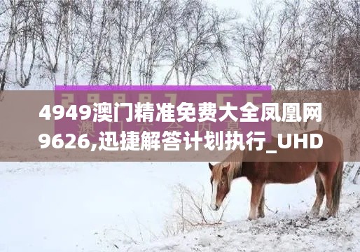 4949澳門精準(zhǔn)免費大全鳳凰網(wǎng)9626,迅捷解答計劃執(zhí)行_UHD版2.191