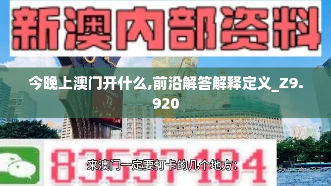 今晚上澳門開什么,前沿解答解釋定義_Z9.920