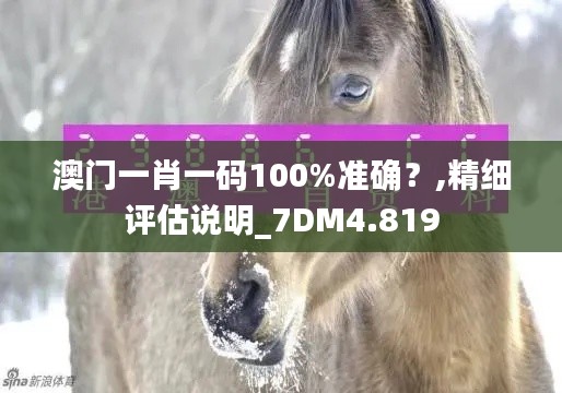 澳門(mén)一肖一碼100%準(zhǔn)確？,精細(xì)評(píng)估說(shuō)明_7DM4.819