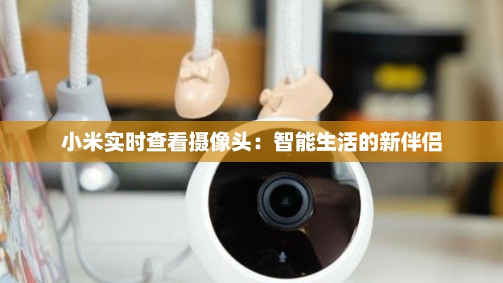 小米實時查看攝像頭：智能生活的新伴侶