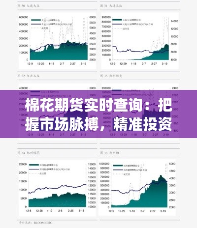 棉花期貨實(shí)時查詢：把握市場脈搏，精準(zhǔn)投資決策