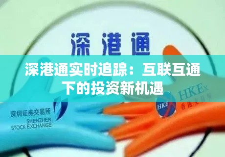 深港通實時追蹤：互聯(lián)互通下的投資新機遇