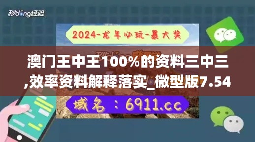 澳門王中王100%的資料三中三,效率資料解釋落實(shí)_微型版7.540