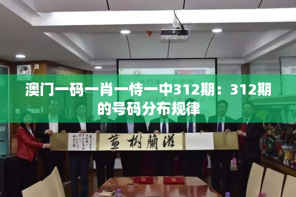澳門一碼一肖一恃一中312期：312期的號碼分布規(guī)律