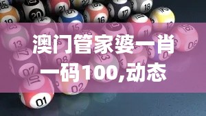 澳門管家婆一肖一碼100,動態(tài)調(diào)整策略執(zhí)行_挑戰(zhàn)版3.799