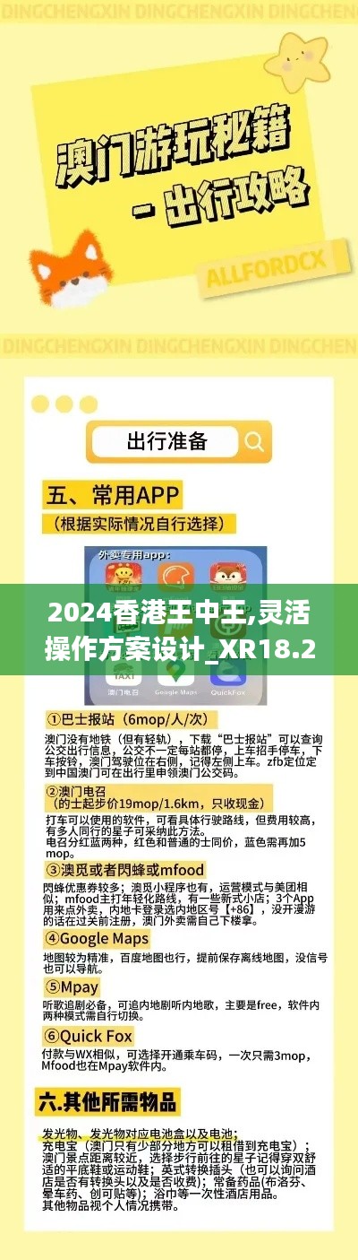 2024香港王中王,靈活操作方案設計_XR18.239