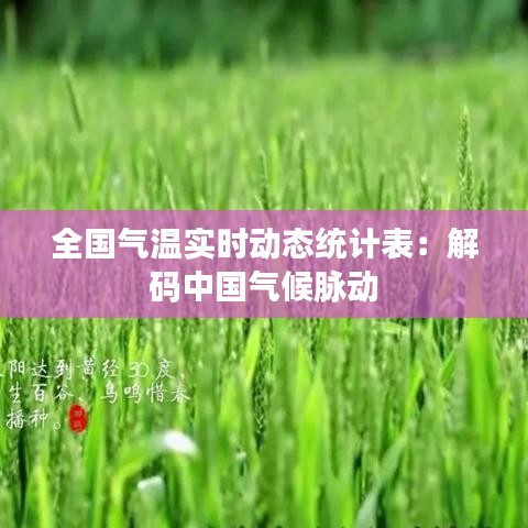 全國氣溫實時動態(tài)統(tǒng)計表：解碼中國氣候脈動