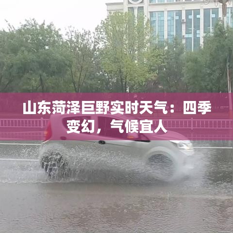 山東菏澤巨野實時天氣：四季變幻，氣候宜人