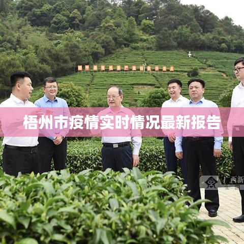 梧州市疫情實時情況最新報告