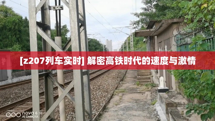 大雅君子 第3頁(yè)