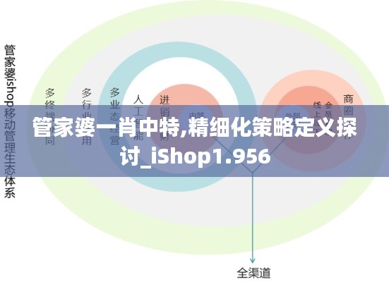 管家婆一肖中特,精細(xì)化策略定義探討_iShop1.956
