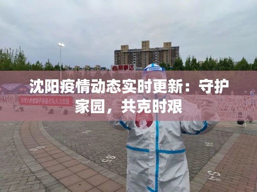 沈陽疫情動態(tài)實時更新：守護家園，共克時艱