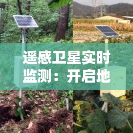 遙感衛(wèi)星實(shí)時(shí)監(jiān)測(cè)：開(kāi)啟地球觀測(cè)新時(shí)代