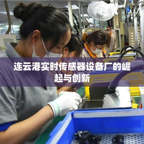 連云港實時傳感器設備廠的崛起與創(chuàng)新