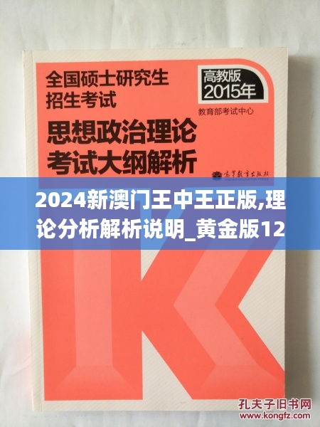2024新澳門王中王正版,理論分析解析說明_黃金版12.102