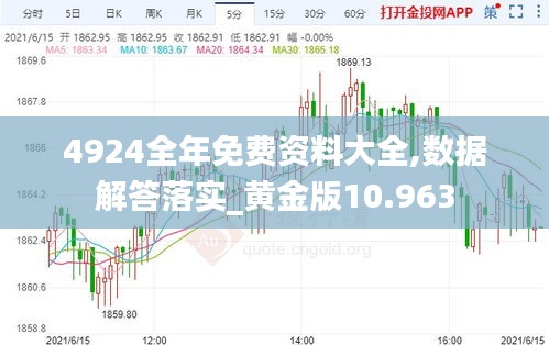 4924全年免費資料大全,數(shù)據(jù)解答落實_黃金版10.963
