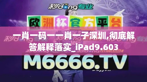 一肖一碼一一肖一子深圳,徹底解答解釋落實_iPad9.603